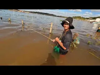 Impressionante tilapias Gigantes no Rio Grande Pescaria