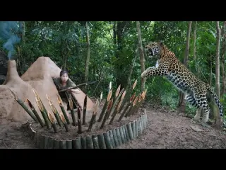 Leopard Attack in the Wild I Built a Shelter on the Ground