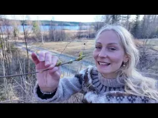 Spring in the Swedish Forest My Life as an Artist