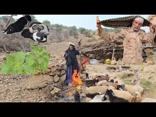 Amazing skills of nomads to survive in rainy weather