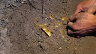 How to use a metal detector to search for antiques