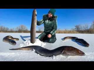 Wild Fishing And Culinary Masterpiece Cooking Eel With