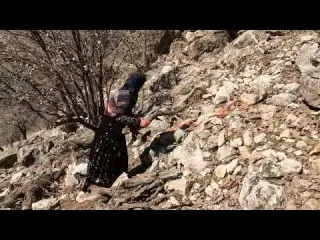 Nomadic women firewood for heating the house in the