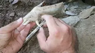 Top Bulunmuş En Büyük Defineler