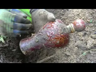 Scuba Diving Search for Underwater Valuables Unexpected
