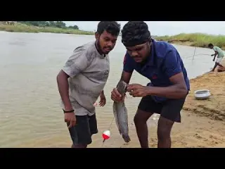 Fishing video The smart boys fishing happily in the river