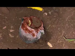 Treasure Hunting I Found Three Mysterious Treasures Using