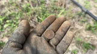 Metal Detecting Old Crossroad in Czechia From Austro