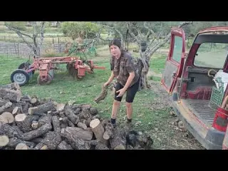 Cargando leña para el otoño prohíben la autosuficiencia en