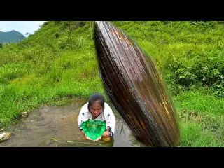 Clams grow in mountain spring water and their pearls shine
