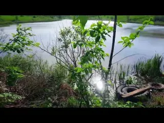 Lake Walking Tour Life in a small village in Russia Living