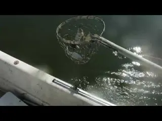 Johnboy s Seafood Treasure