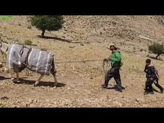 Preparing for Winter Gathering Mountain Grass for Our Goats