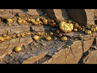 Most GOLD Ever Found in One Day Metal Detecting