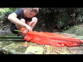 Fishing techniques Build a system of traps to catch stream