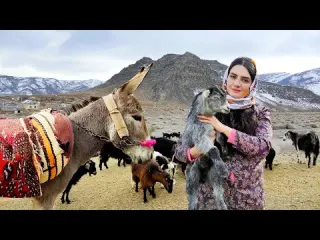 Village Life in Iran Traditional Cooking Donkey Riding by a