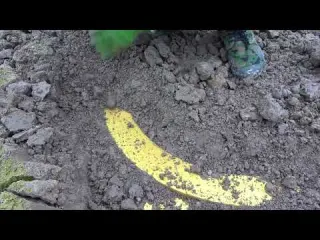 What We Discovered Buried Shocked The Whole World Strange