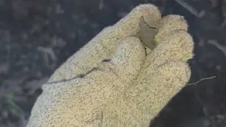 02 09 Легендарное поле будут ли находки