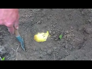 Going Deep Underground Unveiling the Working Principle of
