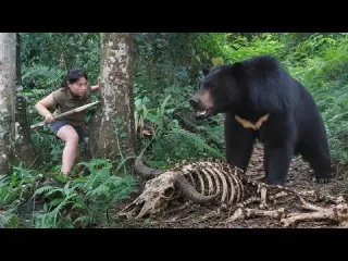 Survival Skills Attacked by Wild Animals in the Wilderness