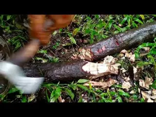 Solo camping in heavy rain Building a shelter in the rain