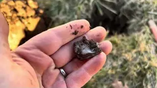 Back to Metal Detecting FINALLY