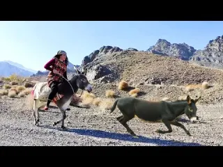 Village Lifestyle Iran Amazing Donkey Riding by Village Girl
