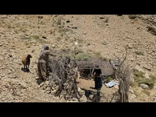 Jahangir s hard work to build a summer canopy Nomadic life