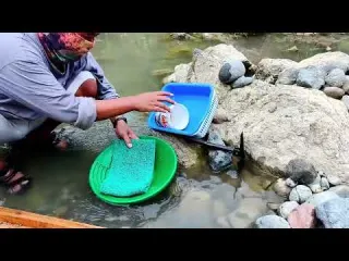 Finding gold Digging for gold under rocks and panning for
