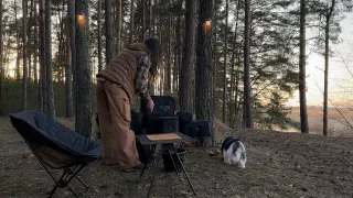 At last I m in the forest Comfort Camping Part Two