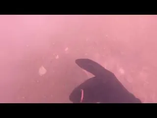 achei jóias mergulhando na represa com detector de metal