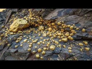 Gold Prospecting to Collecting Gold Nuggets Full Adventure