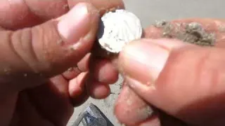South Africa Metal Detecting Treasure