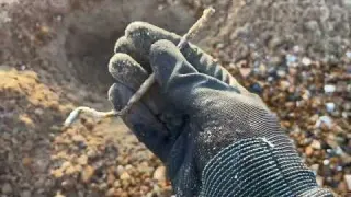 The finds just kept coming Minelab Manticore