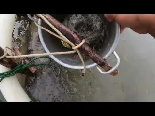 Gold Prospecting It Just Kept Coming Out INSANE Find