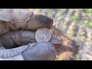 Metal Detecting in the Netherlands NR64