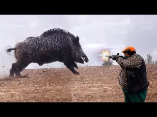 DEV CANAVAR YABAN DOMUZU AVI 2026 Giant Monster Wild Boar