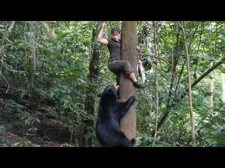 Terrifying encounter with a black bear in the wild my