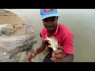 Unbelievable Cast Net Fishing Videos lCatching Lot of fish