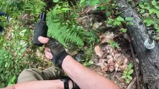 Deep in the Woods I Found Something Strange