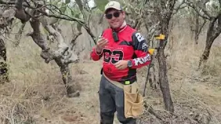 Lo Que Descubrimos en Este Antiguo CAMINO REAL Fue