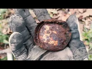 Las Voces en la Cueva Relatos de un Cazador de Historia