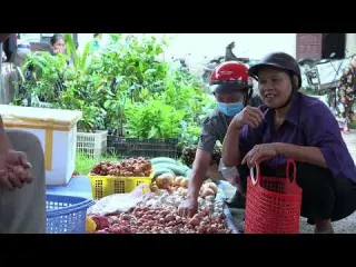 Harvesting Dragon Fruit And Bring It To The Market To Sell