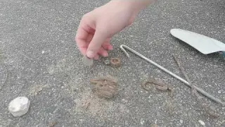 収穫あり ボツにしようと思ってたらお宝拾えた 金属探知機使って砂浜でトレジャーハンター 宝探し