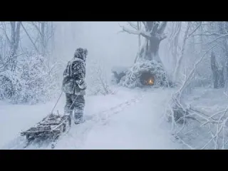 Surviving Alone in Winter Storm by building a Bushcraft