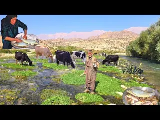Jahangir s method of catching fish in a lush mountain river