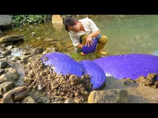 The girl discovered several large purple clams with many
