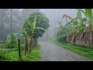 EXTREME WEATHER MOST INTENSE HEAVY RAIN WINDSTORM WALKING