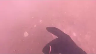 achei jóias mergulhando na represa com detector de metal