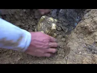 wow discovery of gold statues and gold nuggets